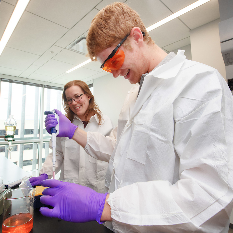 Researchers working in the Worthington Lab