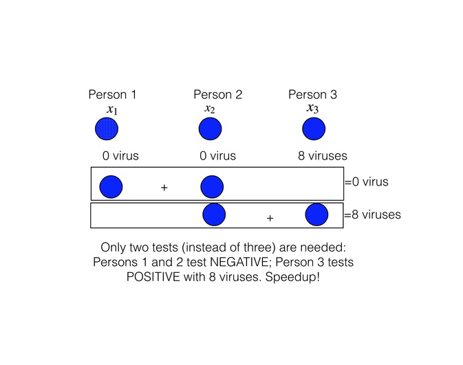 Wu Covid Testing