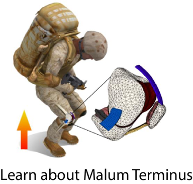 Malum Terminus