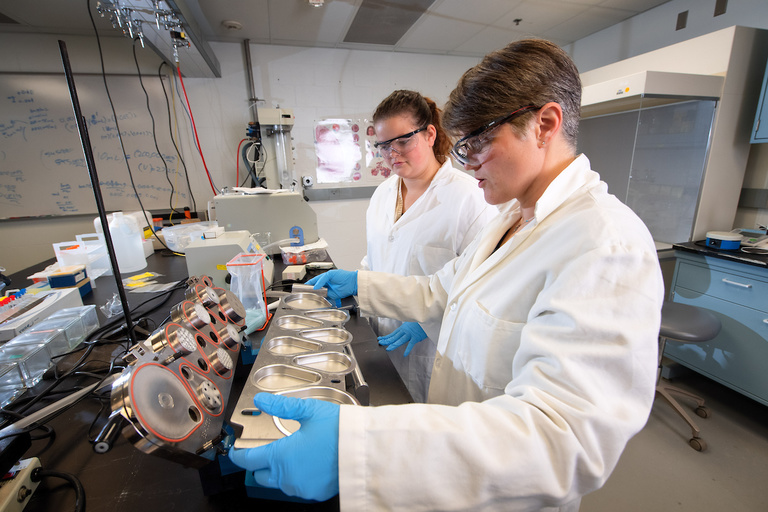 Jennifer Fiegel and student working in the lab