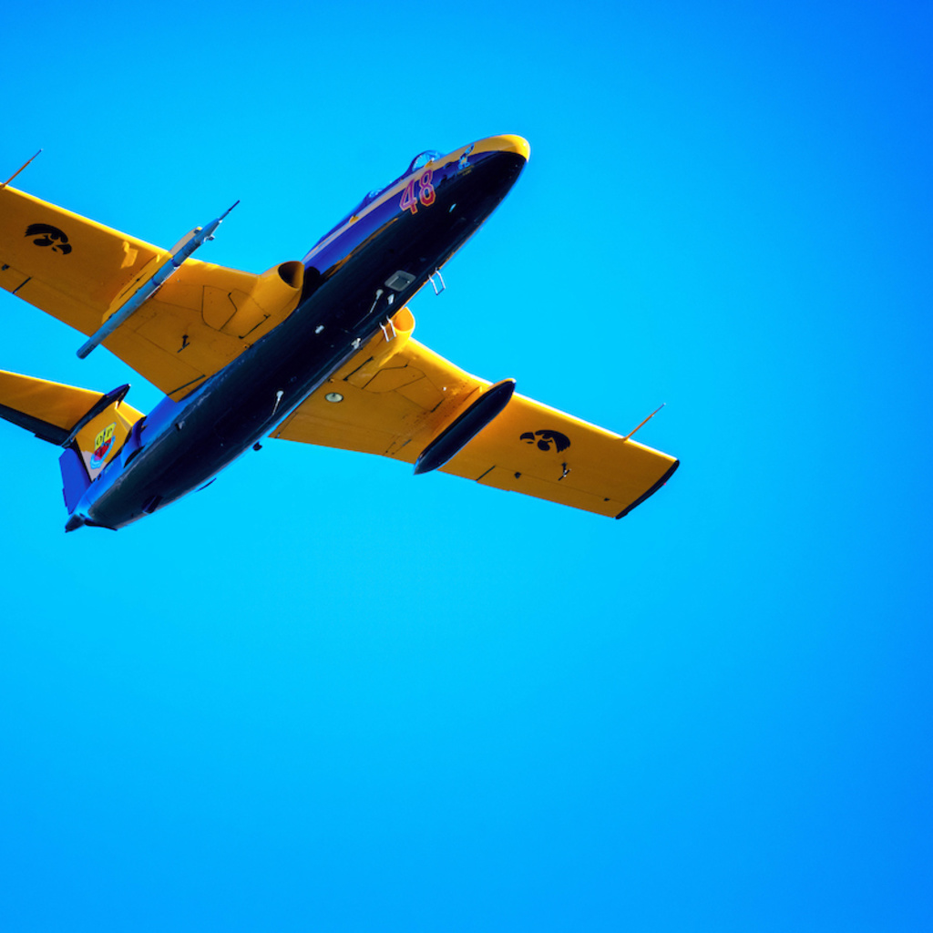 Photo of Delfin L-29 in the sky
