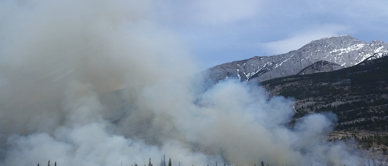 Wildfire royalty free