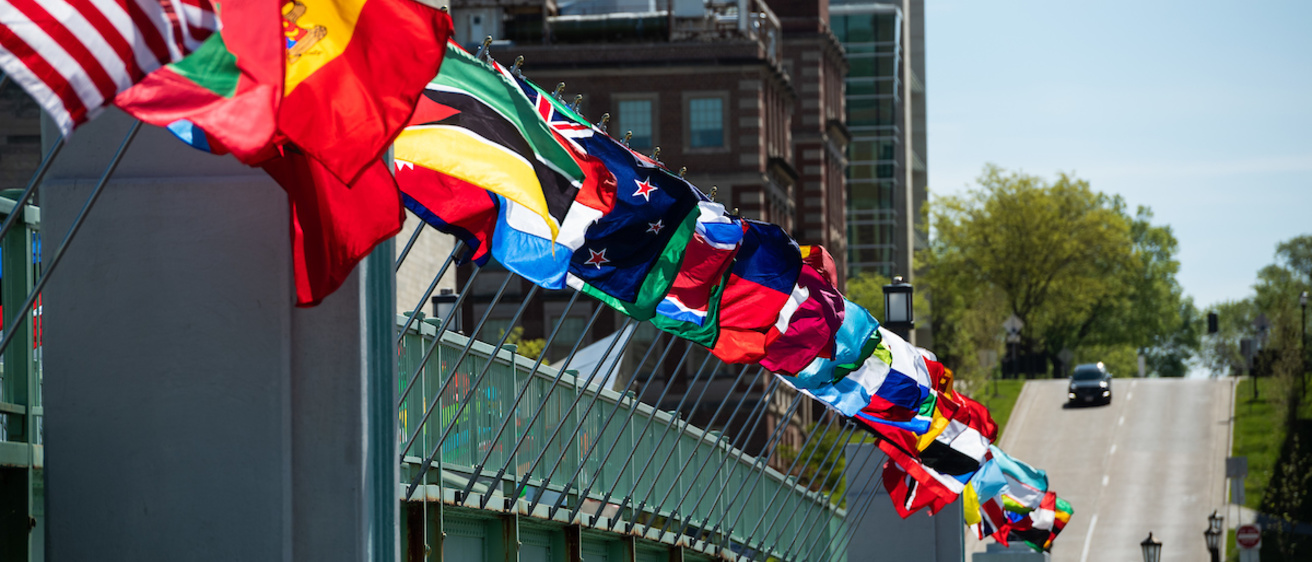International flags fly on the IMU footbridge