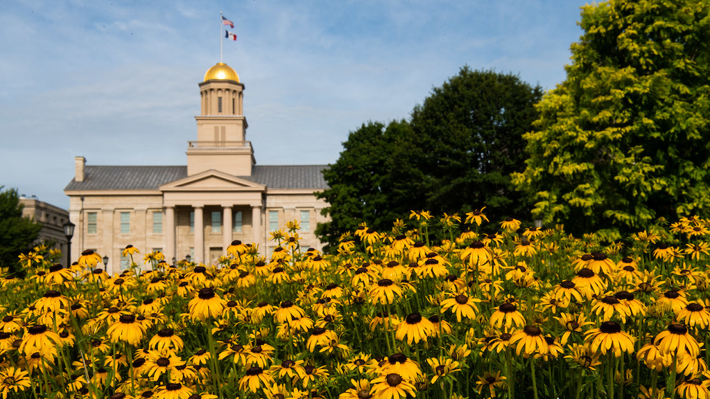 Summer flowers blooming on the Pentacrest with the Old Capitol in the background