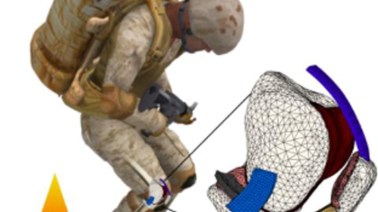 MALUM Terminus injury prediction